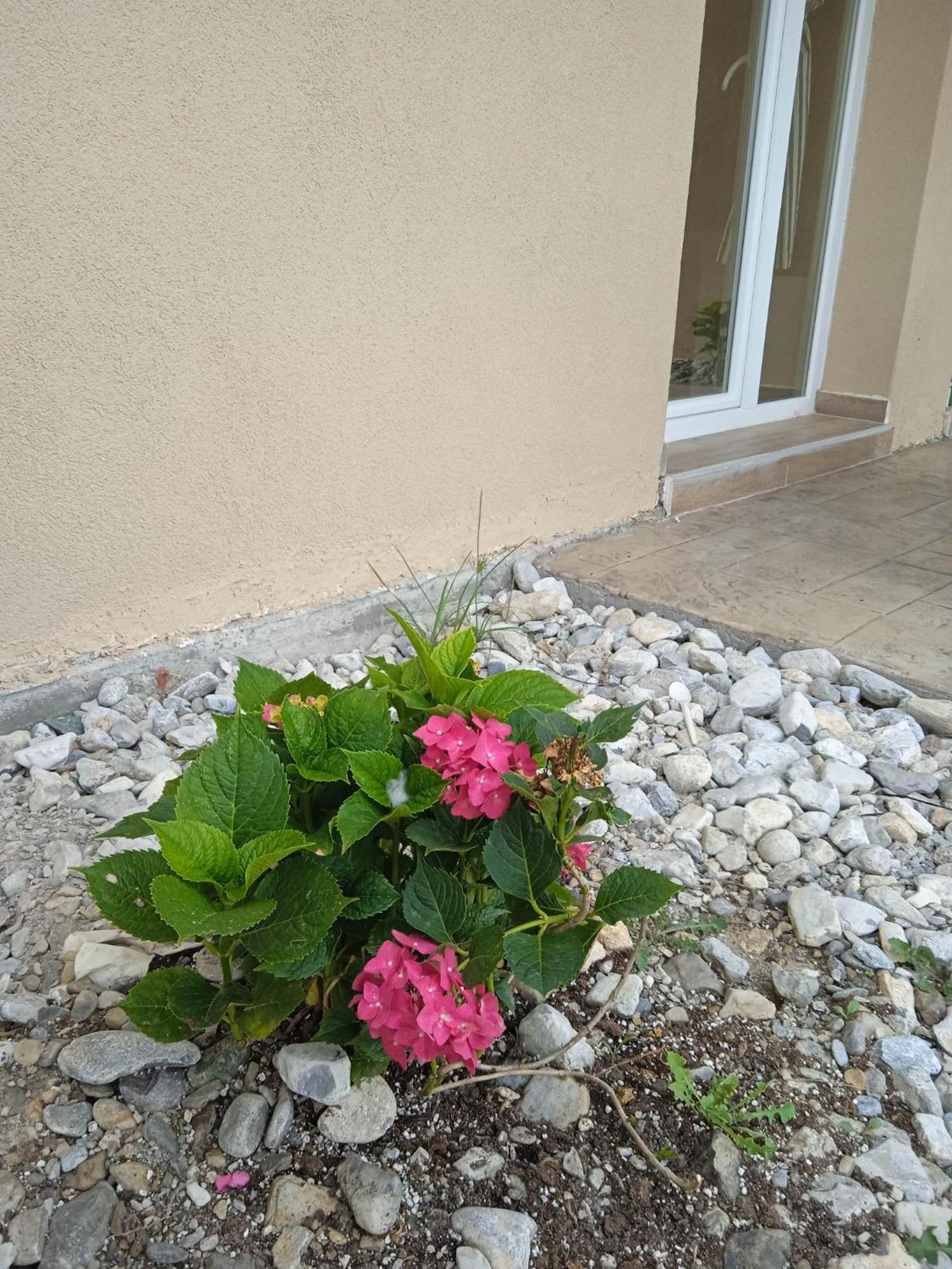 Sylias Village Skala Korinou Exterior foto